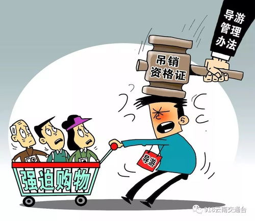 數字文創服務新規今起實施，車主必讀 五大要點全解析